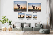 Sunset Journey - Wild Mustang Family Wall Art - Horse Photography Print Canvas Metal Decor
