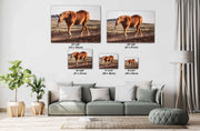 Wild Mustang Wall Art 'Sunset Stride' - Chestnut Horse Photography Print - Western Decor