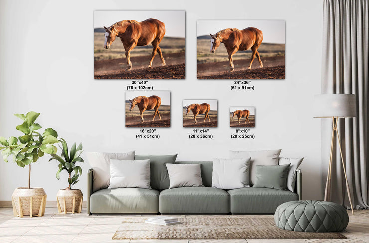 Wild Mustang Wall Art 'Sunset Stride' - Chestnut Horse Photography Print - Western Decor