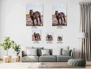 Wild Mustang Wall Art 'Dawn Sentinel' - Horse Photography Print - Western Decor Canvas Metal