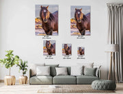Heart-Marked Mustang - Wild Horse Fine Art Photography - Desert Stallion Wall Art