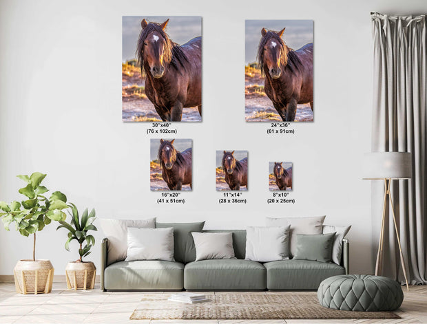 Heart-Marked Mustang - Wild Horse Fine Art Photography - Desert Stallion Wall Art