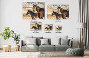 Wild Horse Photography - Maternal Vigilance Canvas Print - Wild Mustang Mare and Foal Wall Art