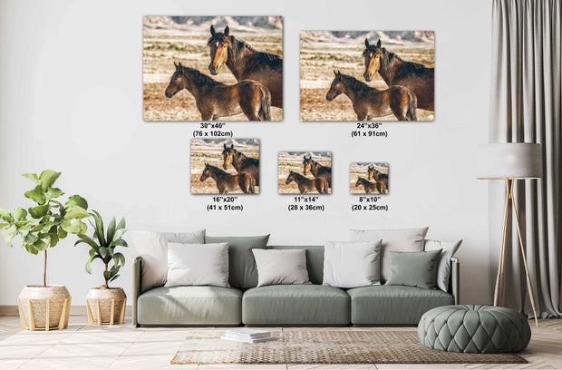 Wild Horse Photography - Maternal Vigilance Canvas Print - Wild Mustang Mare and Foal Wall Art