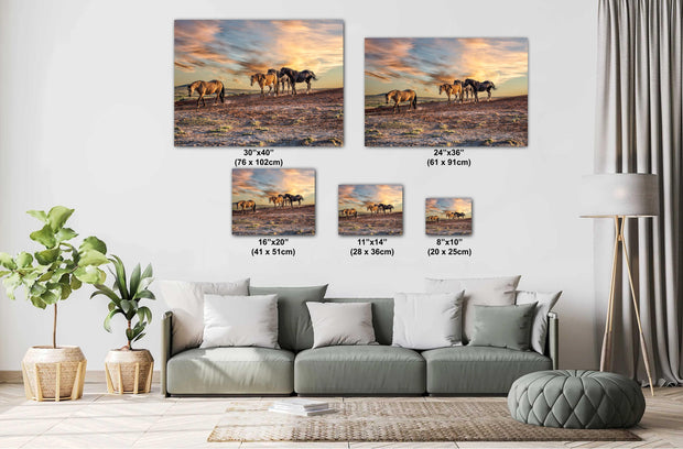 Wild Mustang Wall Art 'Sunset Procession' - Western Horse Photography - Desert Landscape Canvas