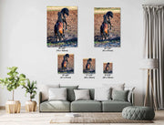 Wild Horse Photography 'Midnight Duel' - Black and Bay Mustang Stallions Canvas Print - Western Decor