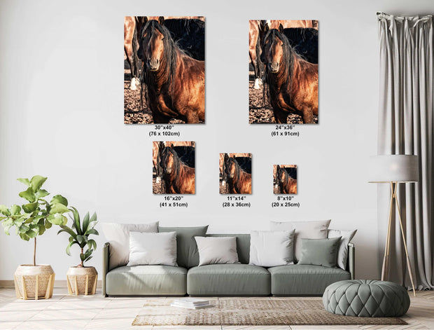 Majestic Mustang Portrait - Copper Bay Horse with Flowing Black Mane - Western Equine Wall Art