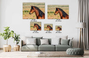 Majestic Mustang Wall Art - Bay Horse with Flowing Black Mane - Western Wildlife Photography