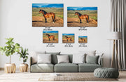 Wild Mustang Wall Art - 'Mountain Guardian' - Western Horse Photography - Rustic Home Decor