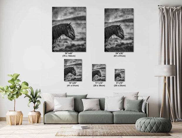 Wild Horse Wall Art "Silent Strength" - Black and White Mustang Profile Fine Art Photography