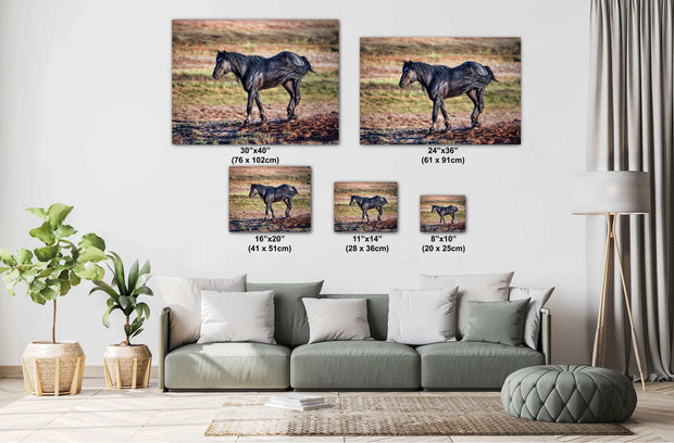 Ebony Spirit - Wild Black Mustang Photography - Desert Freedom Horse Art - Western Decor