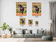 Desert Sovereign - Black Mustang Photography - Wild Horse Wall Art - Western Landscape Decor