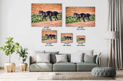 Wild Mustang Photography - 'Red Earth Journey' - Canvas Print - Western Horse Wall Art Decor