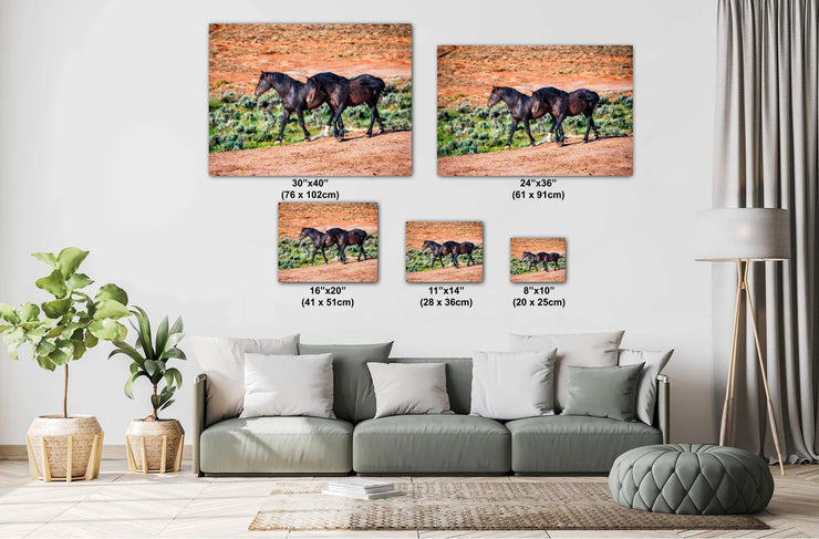 Wild Mustang Photography - 'Red Earth Journey' - Canvas Print - Western Horse Wall Art Decor