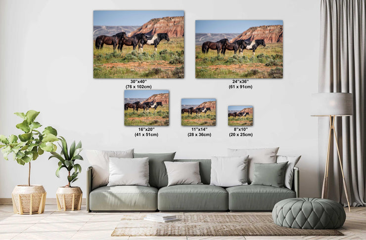 Wild Mustang Trio Wall Art - Red Mesa Guardians - Western Landscape Photography - Home Decor