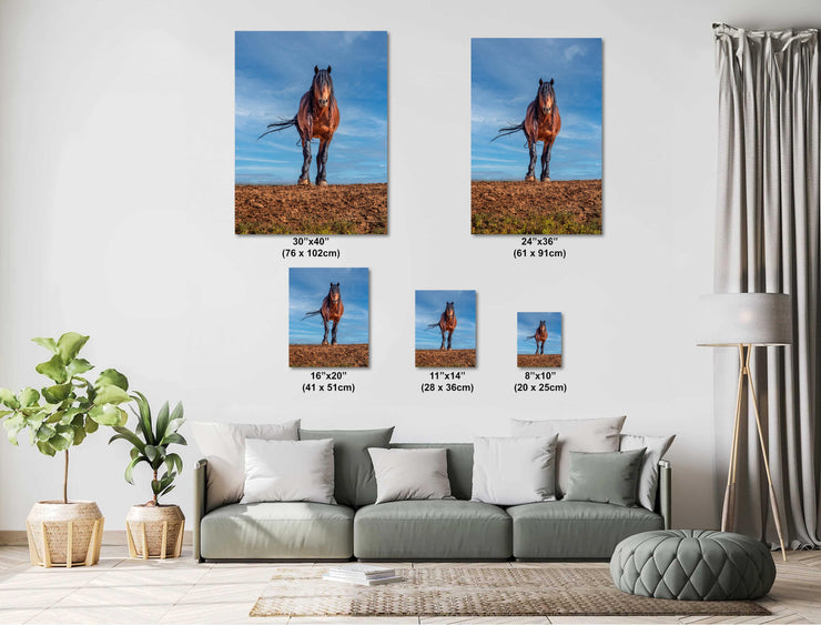 Wild Mustang Wall Art 'Horizon Guardian' - Bay Horse Photography - Western Decor Print Canvas