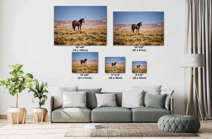 Wild Mustang Photography - 'Solitary Majesty' - Dark Horse Wall Art - Western Desert Decor