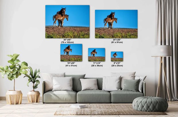 Wild Horse Photography 'Eternal Bond' - Mare and Foal Wall Art - Western Wilderness Decor