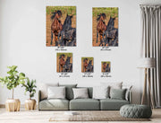 Wild Horse Photography Wall Art - Untamed Bond Bay & Black Mustang - Western Decor Canvas Print