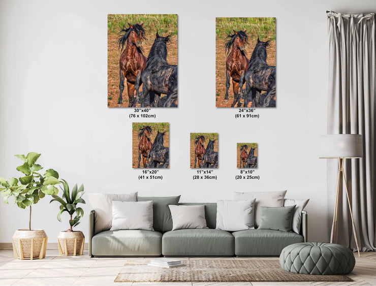 Wild Horse Photography Wall Art - Untamed Bond Bay & Black Mustang - Western Decor Canvas Print