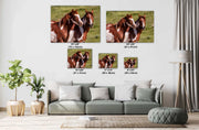 Majestic Paint Horses Wall Art - Wild Mustang Photography - Western Ranch Decor - Equine Art