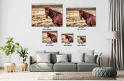 Wild Mustang Photography 'Copper Dawn' - Rustic Western Horse Wall Art - Canvas Print Home Decor