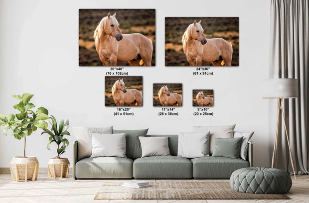 Golden Mane Palomino - Wild Horse Fine Art Photography - Western Wilderness Wall Art