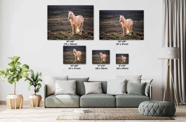 Golden Spirit - Palomino Wild Horse Photography - Western Sage Landscape Art