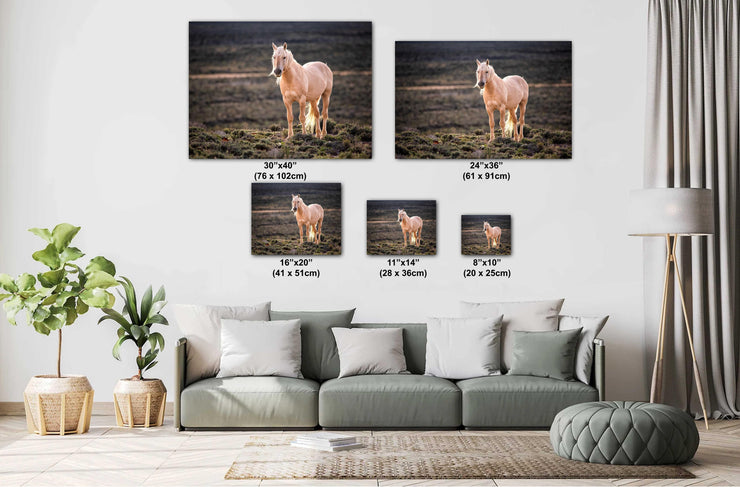 Golden Spirit - Palomino Wild Horse Photography - Western Sage Landscape Art