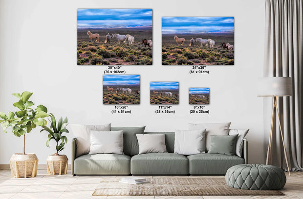 Wild Mustang Herd Photography - American West Desert Landscape - Dramatic Sky Wall Art