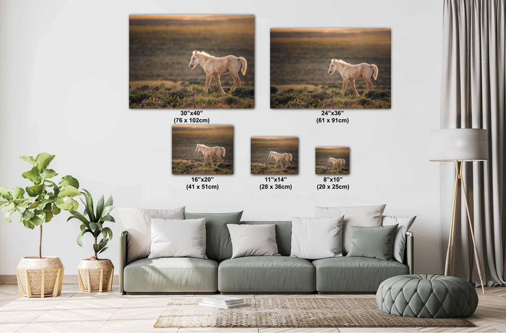 Wild Horse Photography - Golden Dawn Palomino - Western Prairie Landscape - Mustang Foal Art