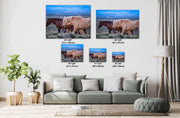 Wild Mustang Photography - 'Dusk Wanderers' - Western Horse Wall Art - Canvas Print Home Decor