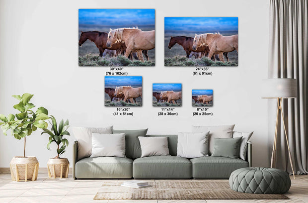 Wild Mustang Photography - 'Dusk Wanderers' - Western Horse Wall Art - Canvas Print Home Decor