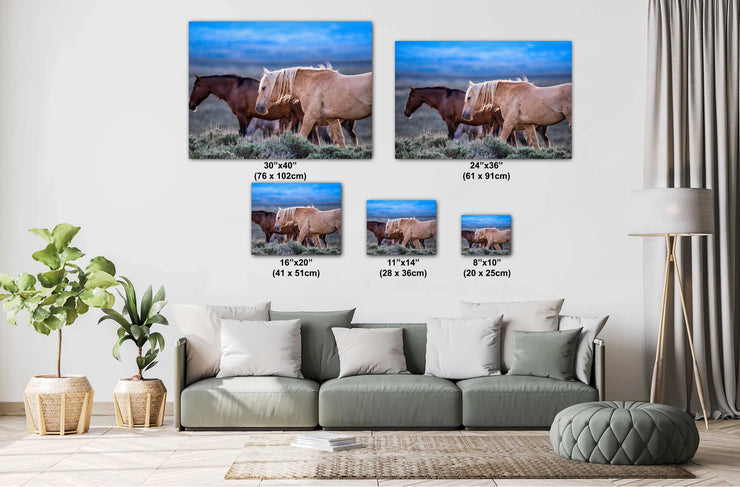 Wild Mustang Photography - 'Dusk Wanderers' - Western Horse Wall Art - Canvas Print Home Decor