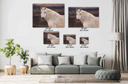 Ethereal Speckled Mustang Wall Art - Wild Horse Portrait - Cream Dappled Equine Decor