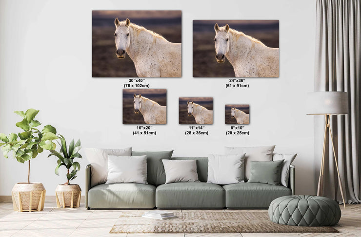 Ethereal Speckled Mustang Wall Art - Wild Horse Portrait - Cream Dappled Equine Decor