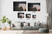 White Horse Wall Art - 'Dawn Whisper' - Equine Photography Canvas Print - Fine Art Home Decor