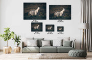 Dusk Sentinel - Wild Mustang Photography - Gray Horse Wall Art - Western Wildlife Decor