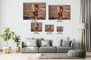 Wild Horse Photography Wall Art - 'Amber Dusk Grazing' - Western Decor Canvas Print