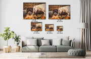 Sunset Embrace - Wild Mustang Duo Photography - Amber Prairie Western Horse Wall Art