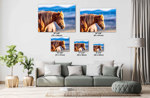 Wild Horse Photography Wall Art - 'Mountain Sentinel' - Chestnut Mustang Canvas Print Western Decor
