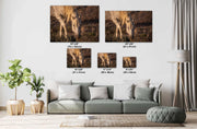Wild Horse Photography - 'Sunset Grazing' - Cream Mustang Wall Art - Western Wilderness Decor