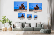 Untamed Affection - Wild Mustang Duo Canvas Art - Western Horse Photography