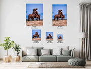 Wild Mustang Wall Art 'Eternal Bond' - Brown Horse Photography Print - Western Decor