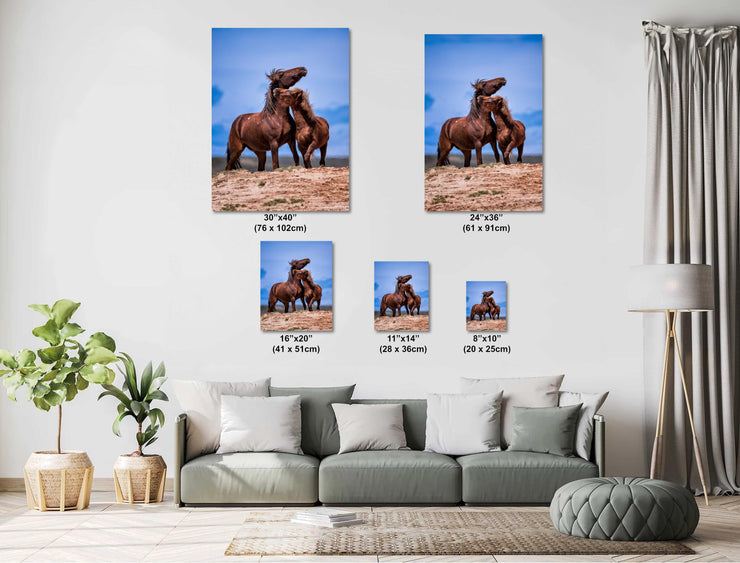 Wild Mustang Wall Art 'Eternal Bond' - Brown Horse Photography Print - Western Decor