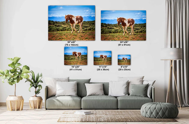 Wild Pinto Mustang Photography - 'Boundless Freedom' - Western Horse Wall Art - Rustic Decor