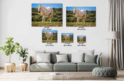 Ivory Spirit Wild Horse Photography - Golden Mane Mustang Wall Art - Sage Desert Decor