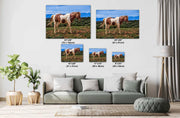 Wild Mustang Wall Art 'Desert Sentinel' - Pinto Horse Photography Print - Western Decor