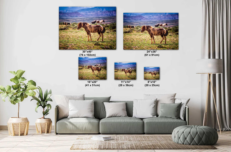 Wild Mustang Photography 'Desert Sentinel' - Western Horse Wall Art - Pinto Mustang Decor