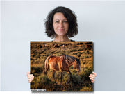 Wild Mustang Photography - 'Sunset Guardian' - Western Horse Wall Art - Rustic Home Decor